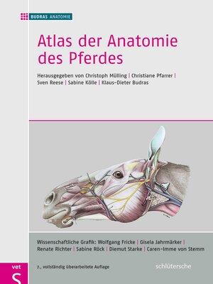 cover image of Atlas der Anatomie des Pferdes